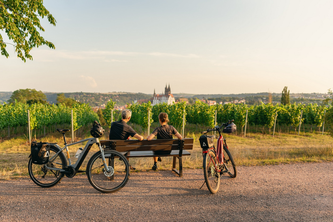 Szlak rowerowy wzdłuż Łaby-Elberadweg, widok na zamek Albrechtsburg w Miśni © DZT, Felix Meyer