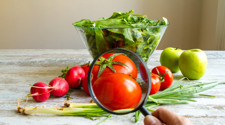 Nagy melegben gyakoribbak az ételmérgezések. Íme néhány tipp a 
megelőzéshez
/Fotó:Shutterstock