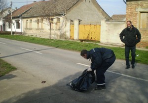 330987_kikinda01-zlostavljanje-macke-foto-rada-segrt