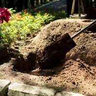 Hátborzongtató dolgot találtak egy temetőben: amint beleszúrták az ásókat a földbe, elsápadtak a félelemtől
