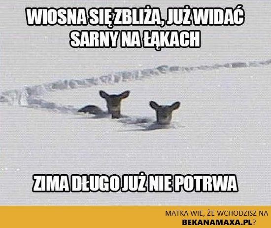 Wiosna zima 10