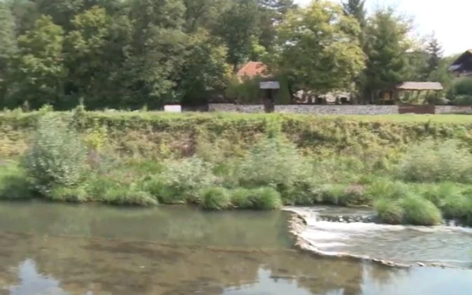 Oazu meštani Gamzigradske Banje zovu "Cicina plaža" i "Tomini lokvanji"