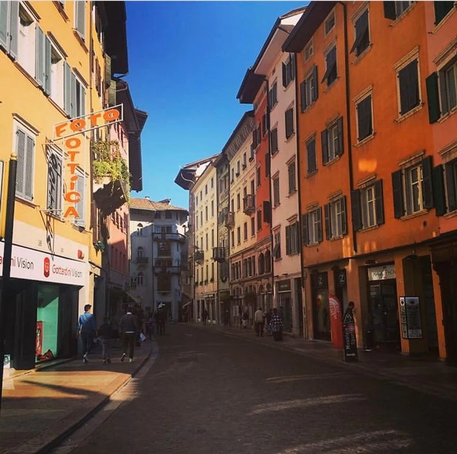 Cveta Majtanović - ulica u kojoj živi