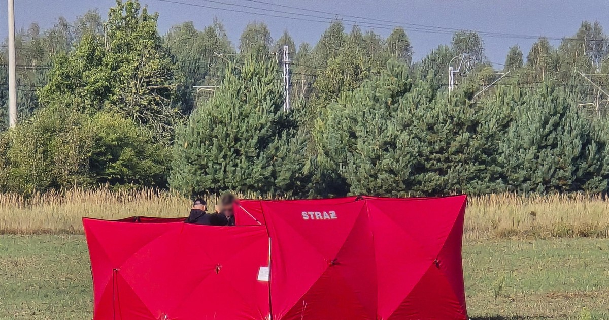 Znaleźli kolejnego drona. Był w nietypowym miejscu