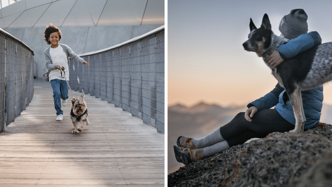 7 hlavných dôvodov, prečo je užitočné mať psa.