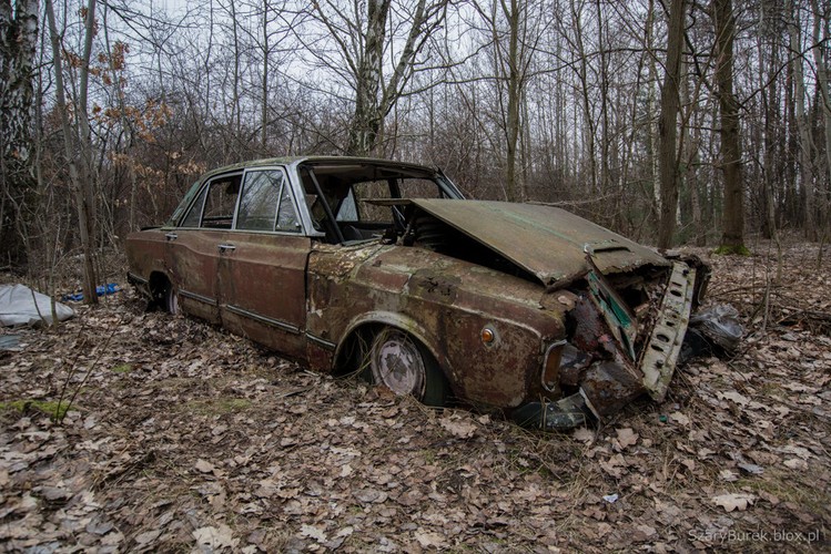 Cmentarzysko samochodów pod Warszawą