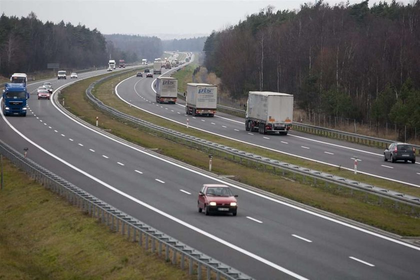 Ekologiczne autostrady w Polsce? Tak!