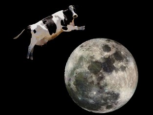 Wróbel: Outsourcing to nie kult, tylko kalkulacja