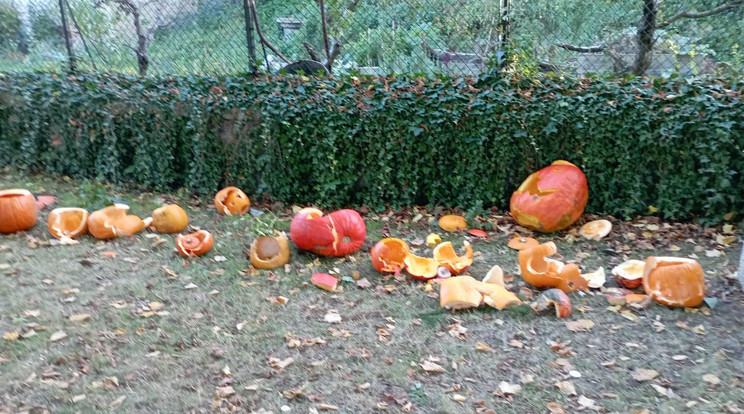 A halloweeni tököket darabokra törte a vandál plébános / Fotó: Facebook