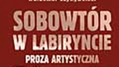 Sobowtór w labiryncie. Proza artystyczna Edwarda Stachury. Fragment książki