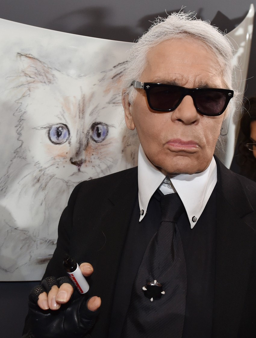 Karl Lagerfeld sa slikom svoje mačke Šupet