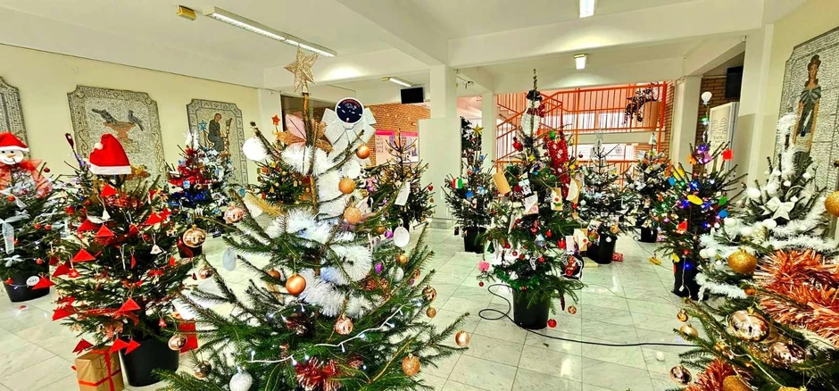 Profesori i đaci škole u Sopotu okitili su čak 19 jelki