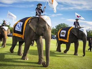 Kings Cup Elephant Polo Tournament