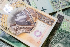 Długi Polaków przekroczyły 76,6 mld zł. Rekord należy do 63-latka z Lubelszczyzny