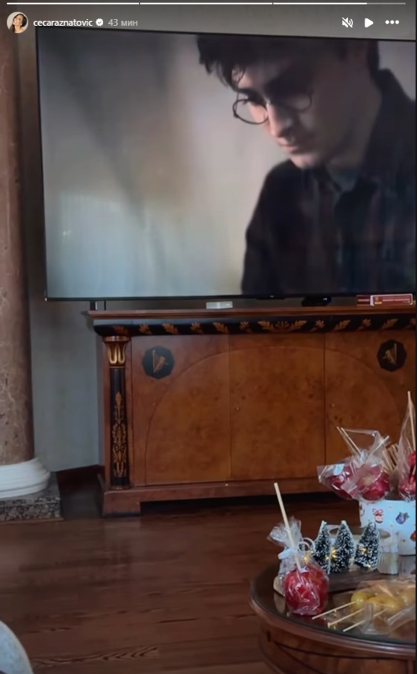 Ceca pokazala kako odmara u porodičnom domu 