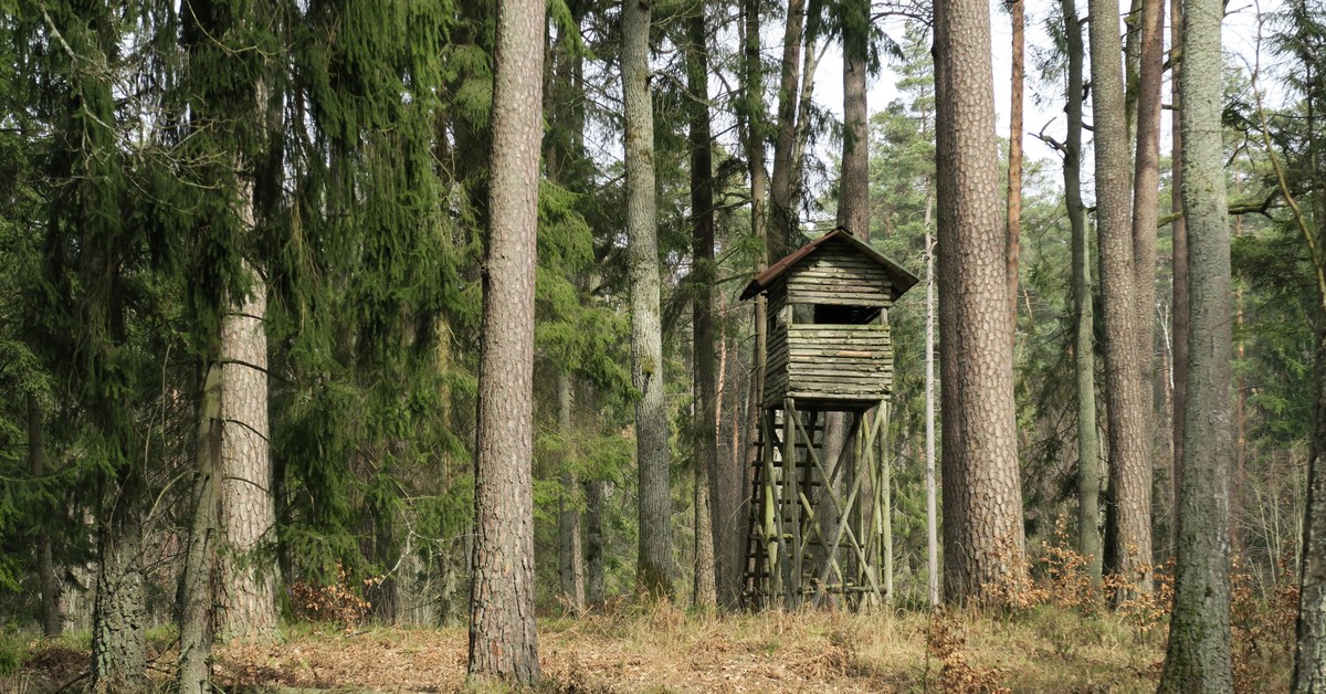 Rządzący biorą się za myśliwych. Niedługo mogą już tak łatwo nie postrzelać