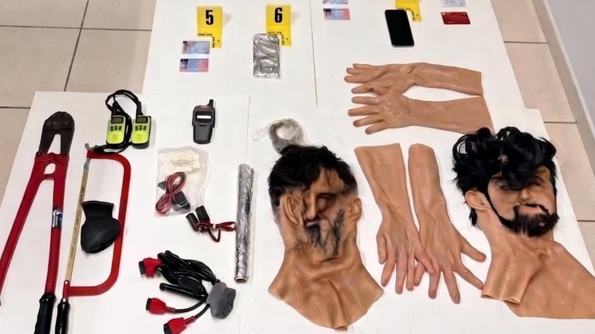 hapšenje Pink Pantera u Italiji