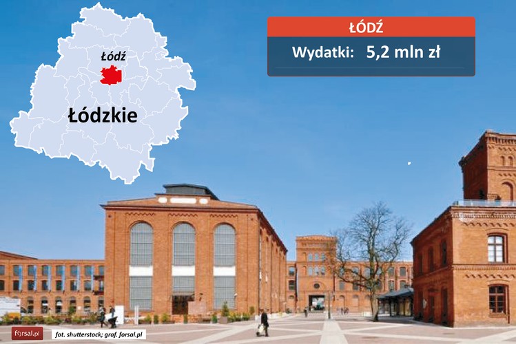 Budżet promocyjny Łodzi to 4 mln zł oraz dodatkowo wkład własny (w wysokości 1,2 mln zł) do kampanii współfinansowanej przez Unię Europejską. W ramach tej kwoty Łódź przeprowadziła kampanię promocyjną pod hasłem „Łódź pozdrawia”. Dzięki tej akcji miasto chciało promować przemysły kreatywne, turystykę city-break i gospodarkę. Na drobne gadżety, takie jak pióra i apaszki, Łódź wydała 457,8 tys. zł.