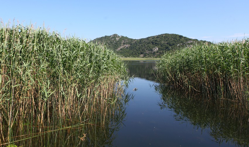 Skadarsko jezero