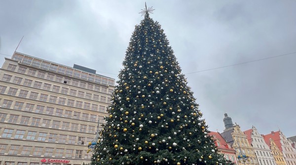 Choinka już prezentuje się ładnie