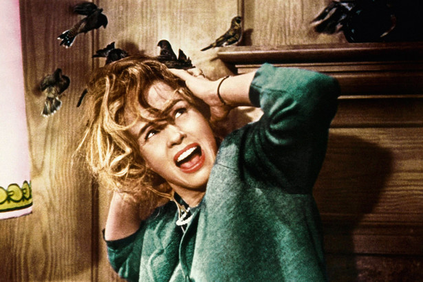 Jessica Tandy w horrorze "Ptaki" Alfreda Hitchcocka (1963)