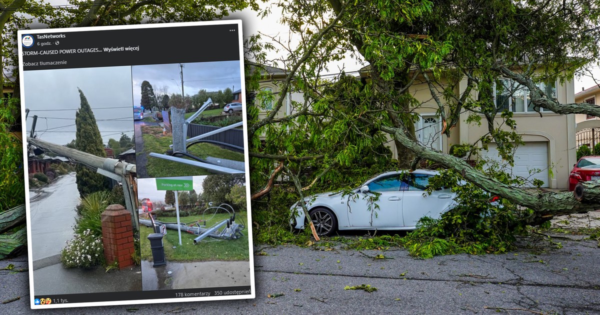 Żywioł zbiera żniwo. Tragiczna śmierć, przygniotło ich drzewo