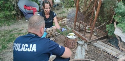 Horror w hodowli ptaków w Parczewie. Jeden miał głowę przyklejoną taśmą...