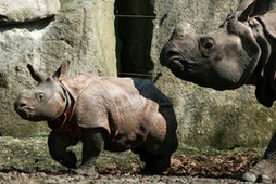 WARSZAWA ZOO PIERWSZE CIEPE DNI