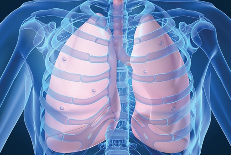 chest_medicine_board