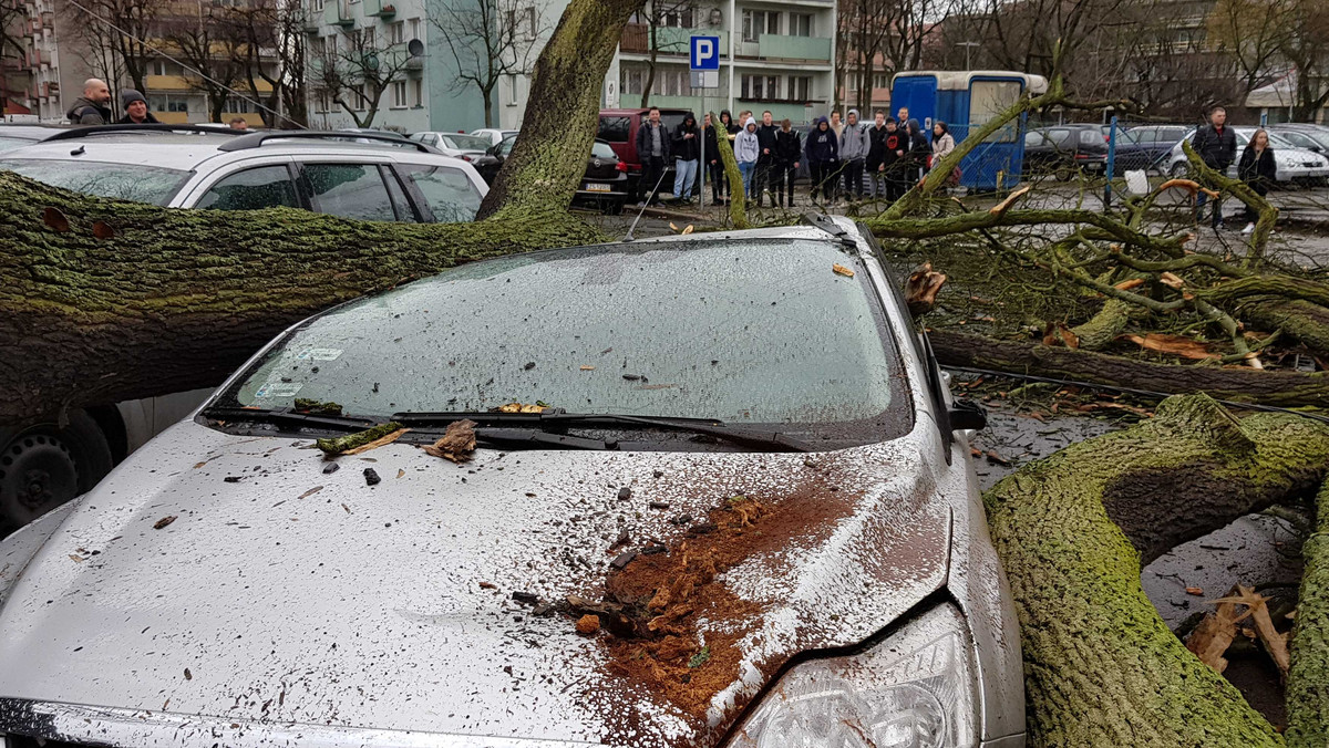 Szczecin: Załamanie pogody. Uwaga na silny wiatr 