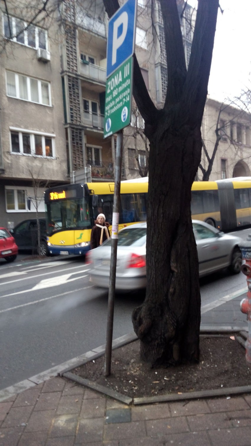 Srećom iza drveta je znak pa ima na šta da se nasloni