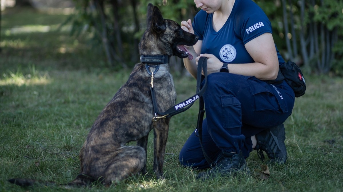 Piorun i Nanson konali w męczarniach w policyjnym radiowozie. Biegły: Po prostu się ugotowały