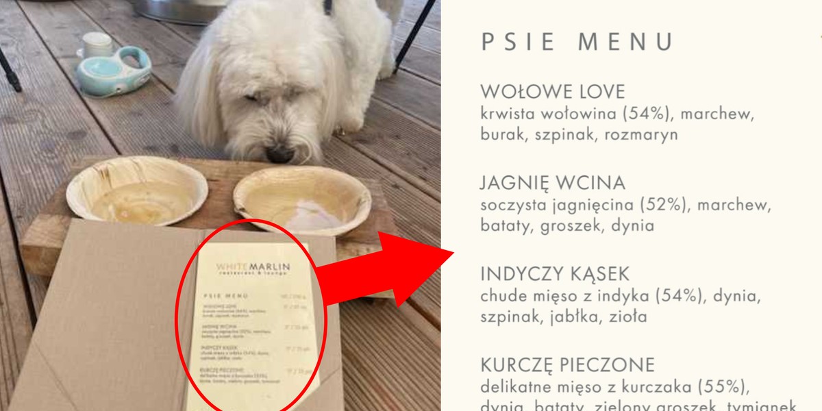 W restauracji White Marlin w Sopocie menu dla czworonogów liczy cztery pozycje