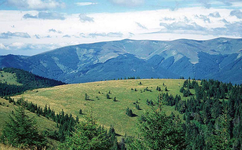 Dolina Gaderska i Błotnicka (Wielka Fatra)