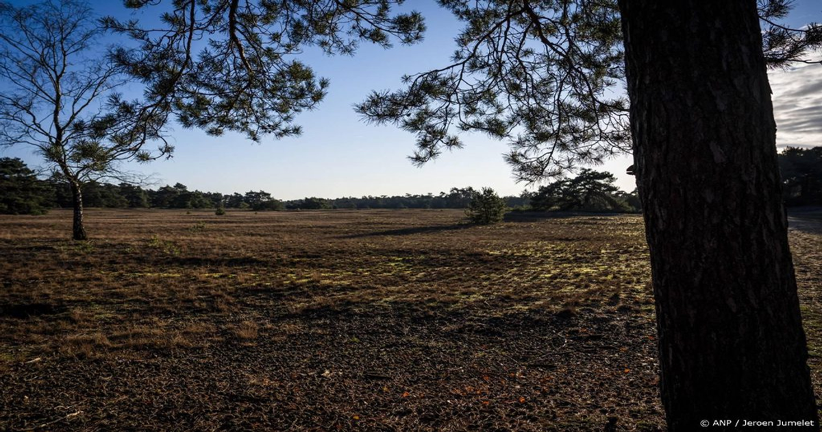 Grote heidebrand op Veluwe: 12 blusvoertuigen ingezet bij defensieterrein Otterlo