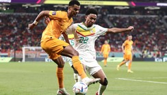 Qatar 2022: Without quality at both ends, pluck and guts can only carry Senegal so far