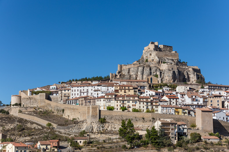 Morella