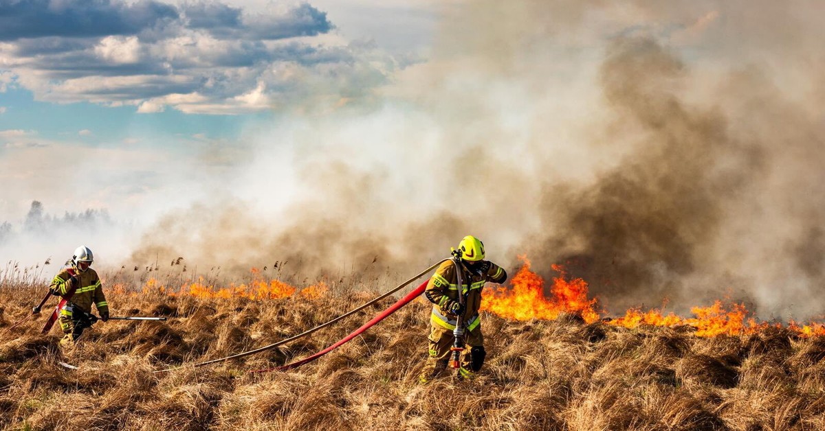 Gigantyczny pożar w Biebrzańskim Parku Narodowym. Ogień obejmuje już 450 ha terenu