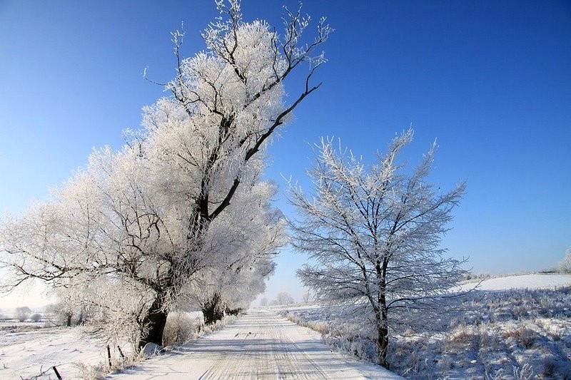 Zima na Podlasiu, Fot. Marvid/Daj znać!