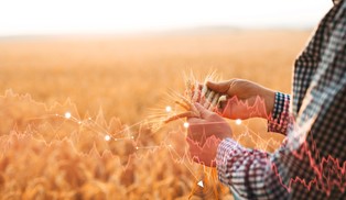 Problem z umową z Mercosur leży w biurokracji polskiego rolnictwa