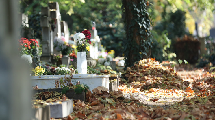 Megtelnek a temetők emlékező látogatókkal és virágokkal / Fotó: Zsolnai Péter