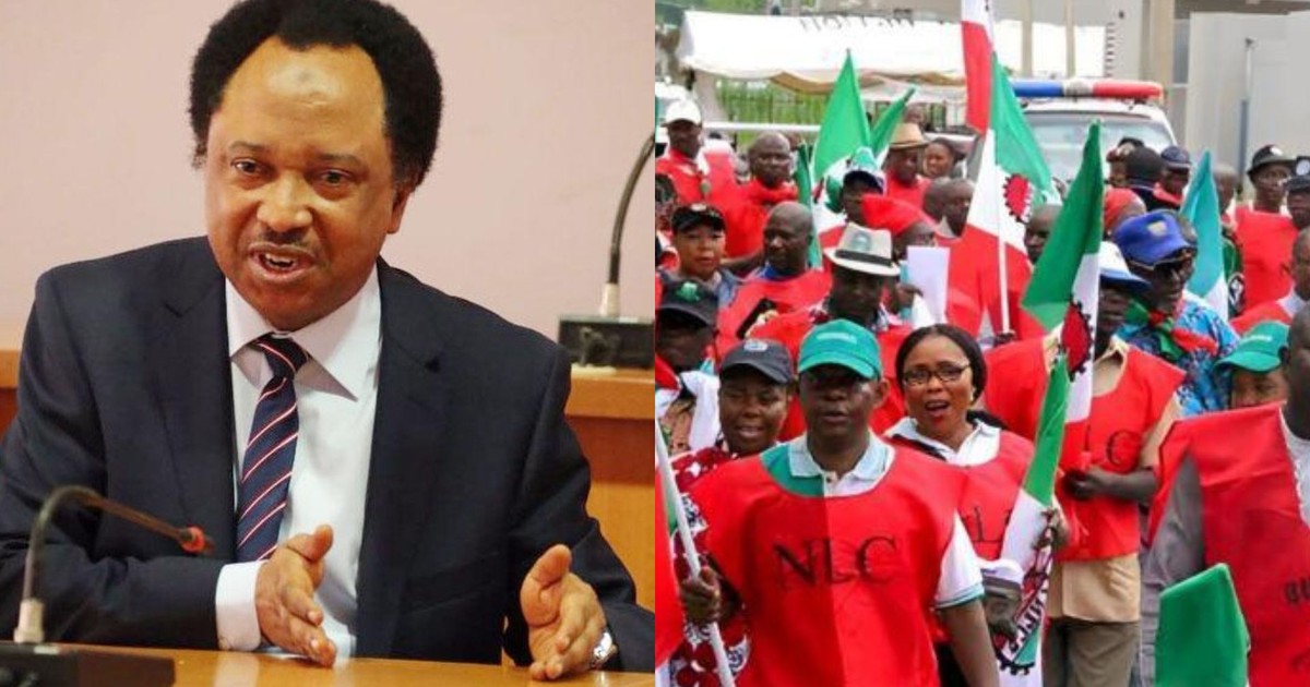No worker can survive on less than ₦100,000 minimum wage –Shehu Sani - Vimarsana News