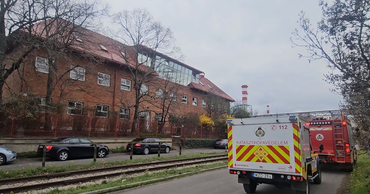 Döbbenetes dolgot találtak a rendőrök az egykori Csepel Művek  területén, napok óta zajlik az akció – exkluzív fotók