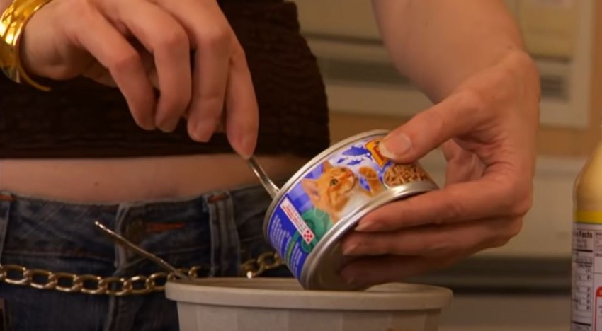 Ejmi Elizabet jede mačju hranu