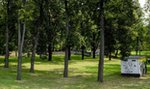 Park Bogucki wypięknieje