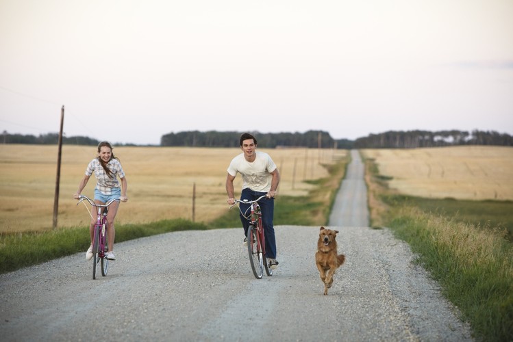 'Był sobie pies' w kinach od 17 lutego 2017 roku