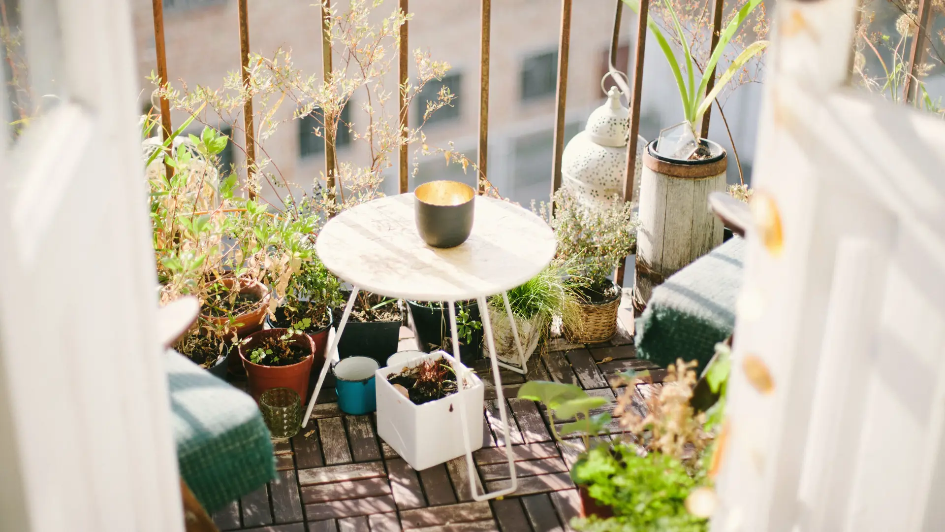 Ten zestaw mebli odmieni każdy balkon, a my wiemy, gdzie kupić go naprawdę niedrogo