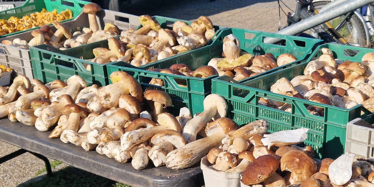 Piękne okazy grzybów kuszą na straganach w Kołobrzegu. 