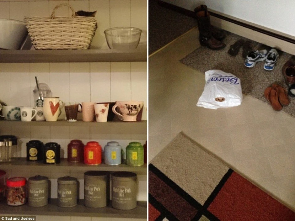 Kliknite za uvećanje (+)