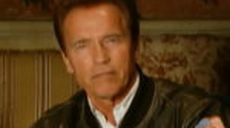 EU-elnök lehet Arnold Schwarzenegger